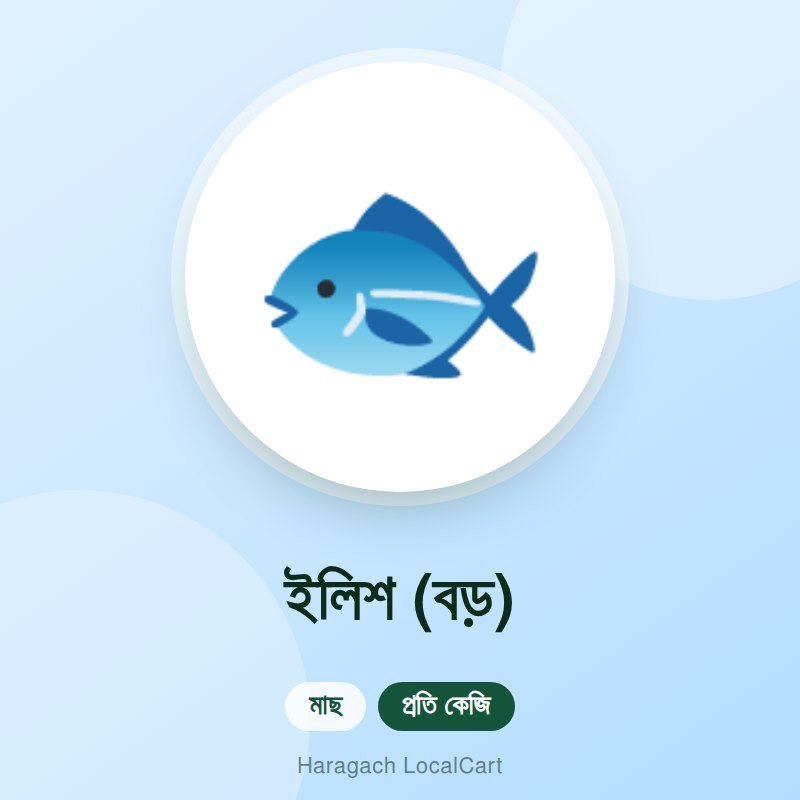ইলিশ (বড়)