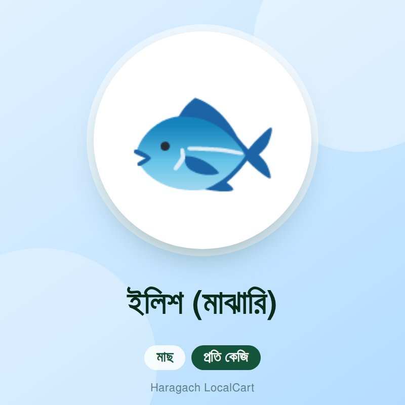 ইলিশ (মাঝারি)