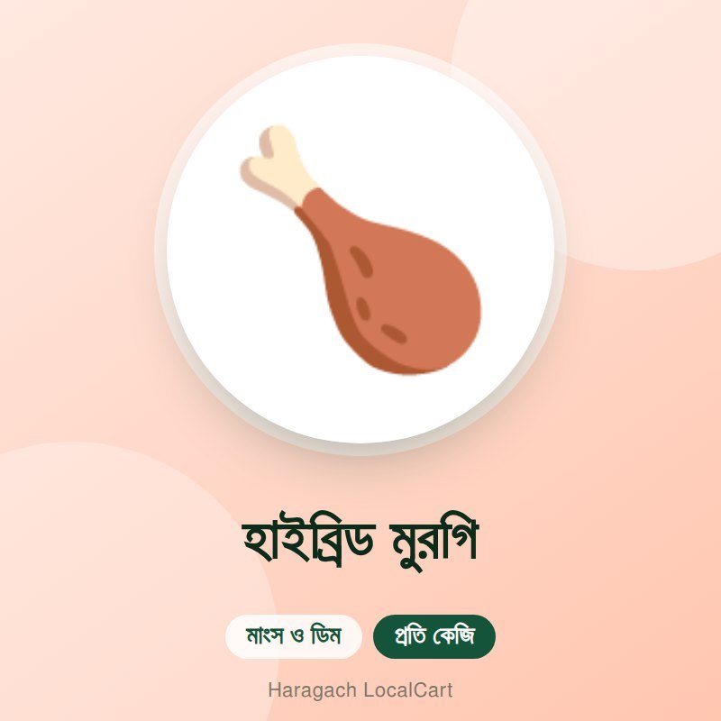 হাইব্রিড মুরগি