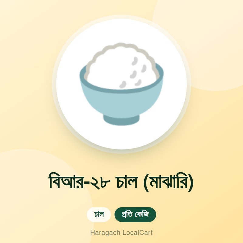 বিআর-২৮ চাল (মাঝারি)