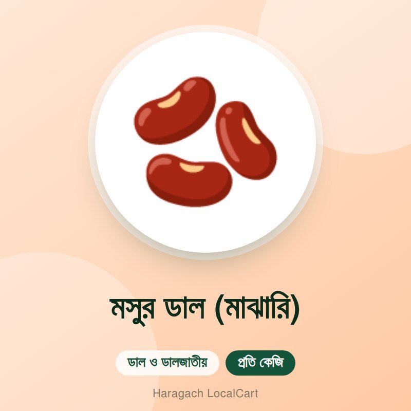 মসুর ডাল (মাঝারি)