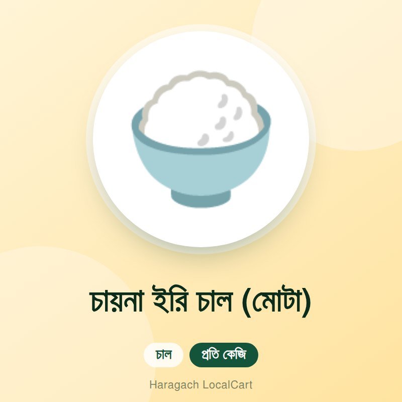 চায়না ইরি চাল (মোটা)